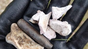 Skeletal remains, shell casings found in suspected cartel camp