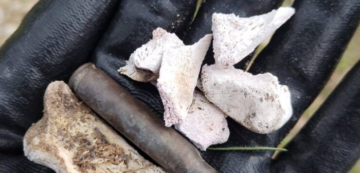 Skeletal remains, shell casings found in suspected cartel camp