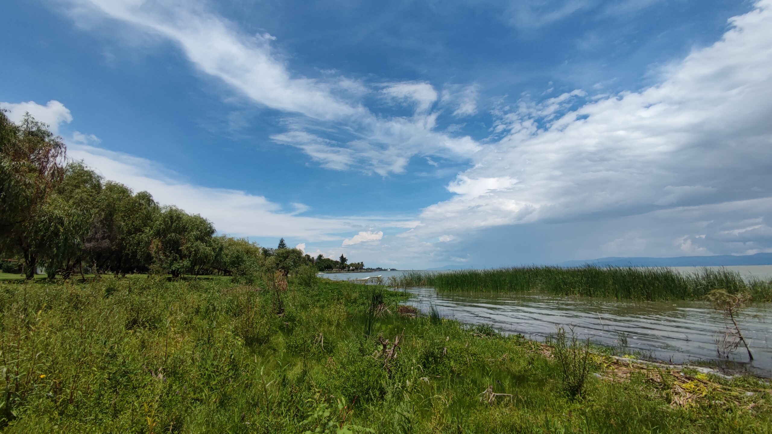 BAR AZUL IZ: Rains bring Lake Chapala to over 50% capacity
