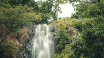 Tour Ajijic like a local: Must-see stops from tour expert