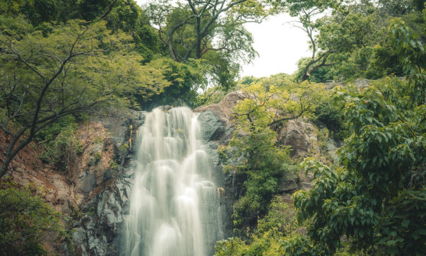 Tour Ajijic like a local: Must-see stops from tour expert