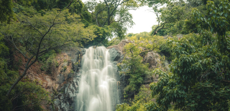 Tour Ajijic like a local: Must-see stops from tour expert