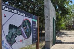 Criminal complaint filed in death of Puerto Vallarta crocodile