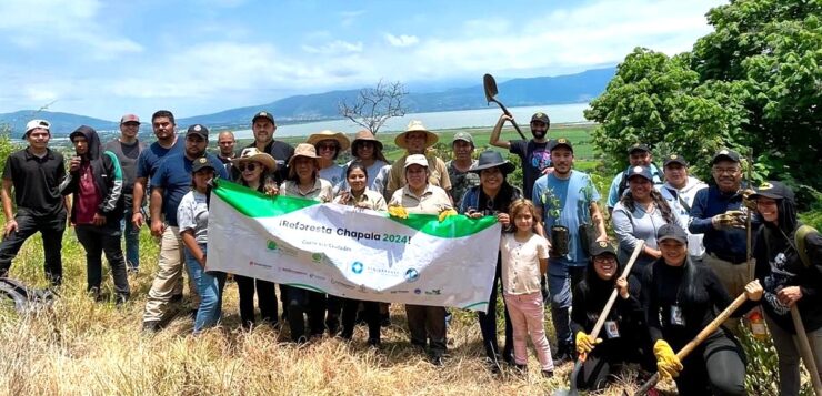 Adopt a tree, protect Lake Chapala