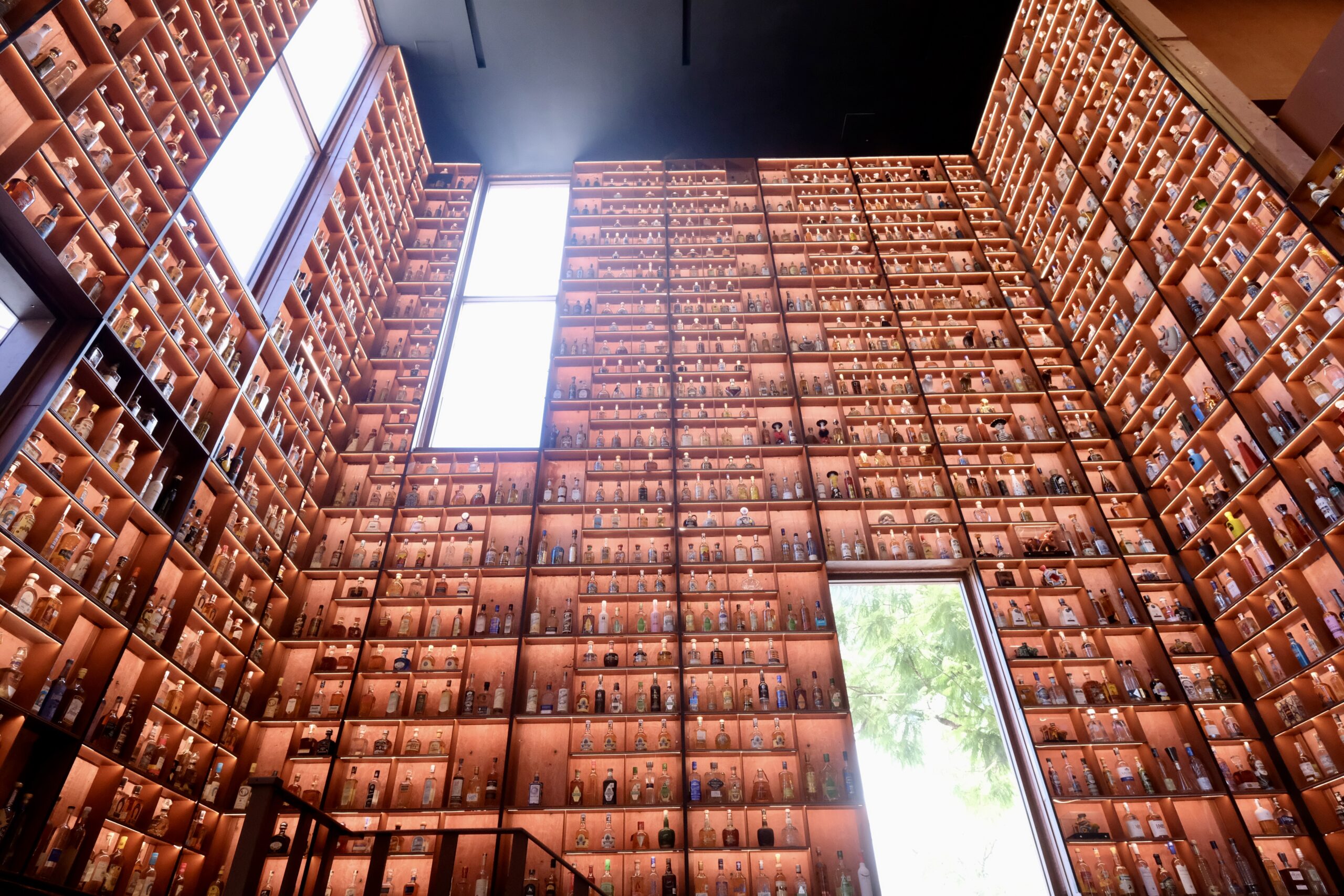 Largest tequila bottle display secures Guinness World Record