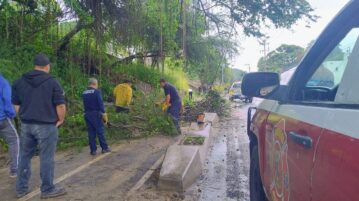 Heavy rains cause damage in Chapala