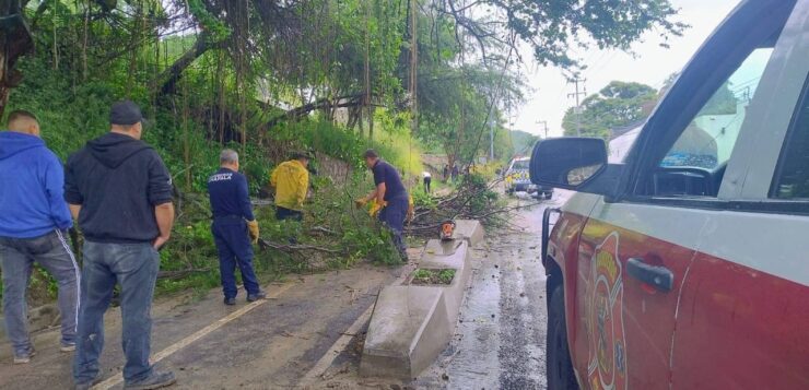 Heavy rains cause damage in Chapala