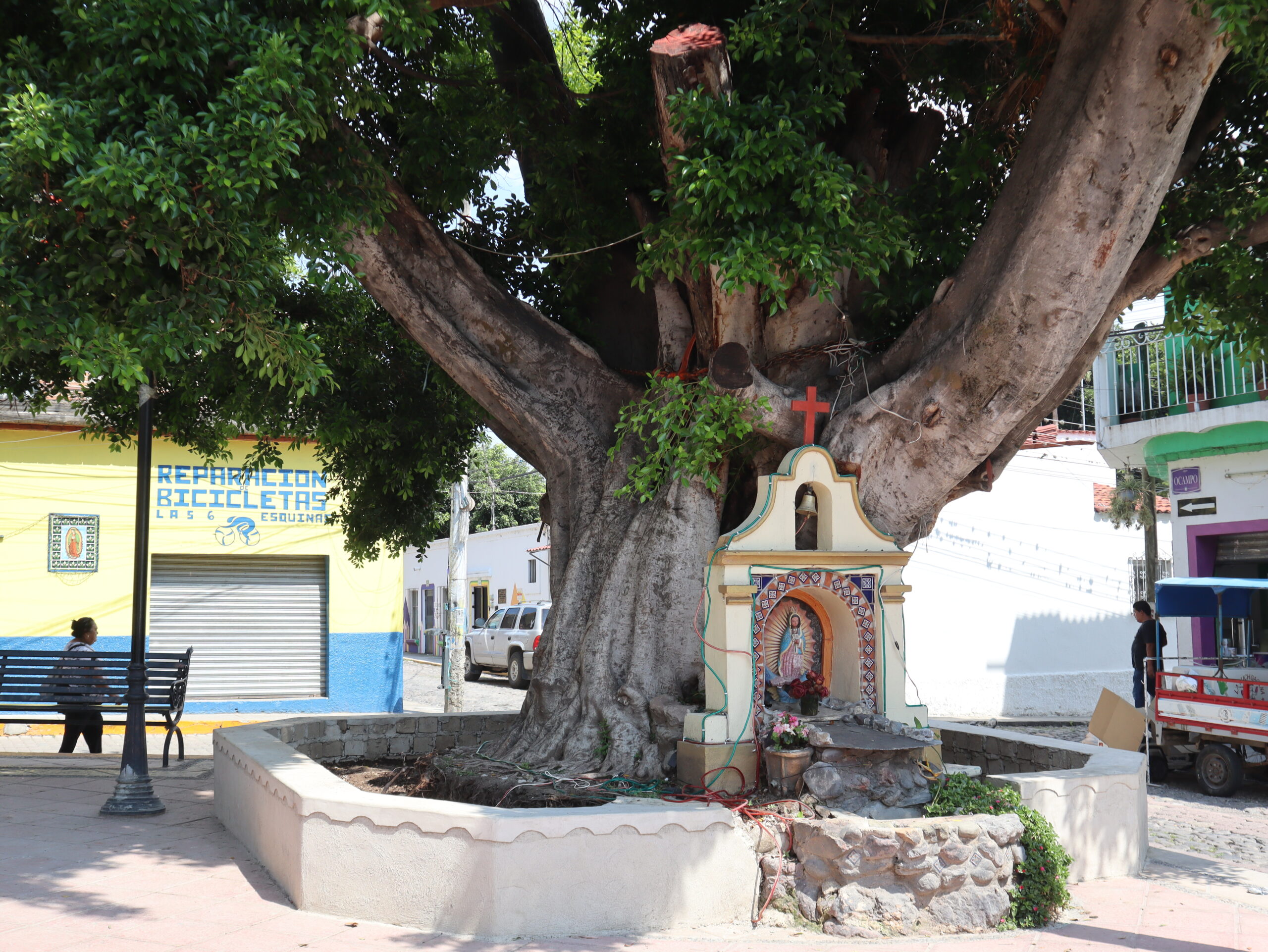 Work completed on iconic Six Corners tree