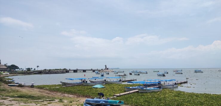 Lake Chapala gains almost 3 feet in three months