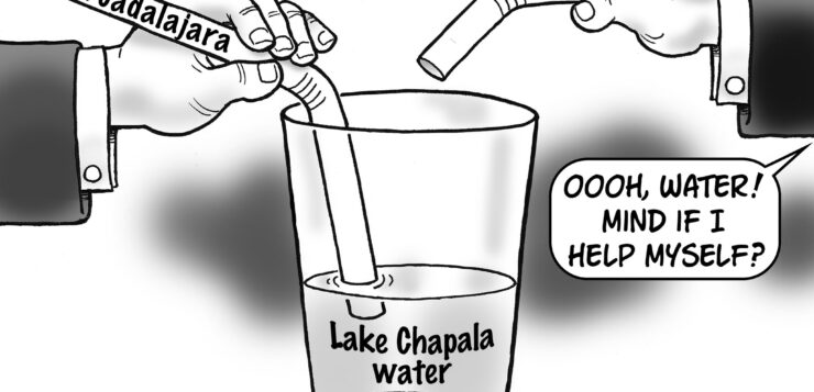 UdeG, UNAM experts propose ‘Green Agenda’ for Lake Chapala