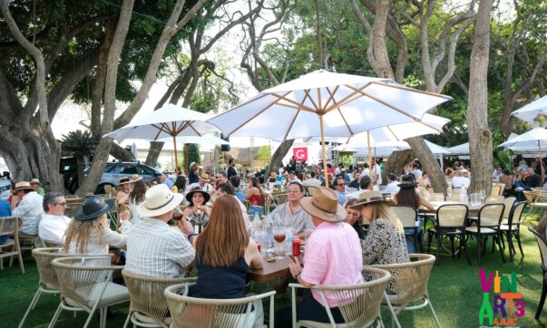 Art, wine, and tradition unite at VinArt 2025 in Ajijic