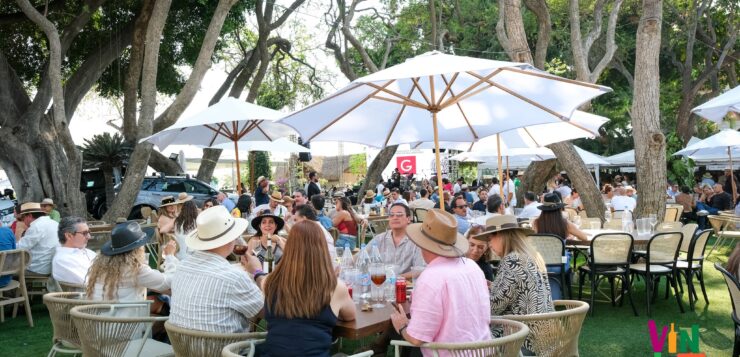 Art, wine, and tradition unite at VinArt 2025 in Ajijic