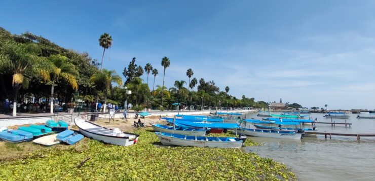 Lake Chapala reaches its highest level since 2019