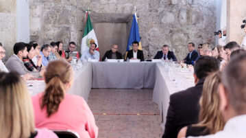 Jalisco dengue cases drop 87% in 2025