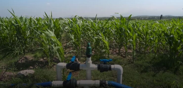 CONAGUA service points available in Jocotepec for next six months