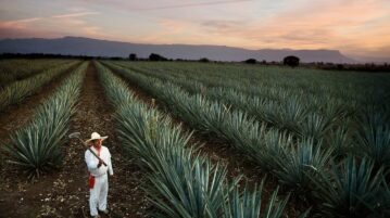 Tequila to host 10th edition of Mexico tourism awards