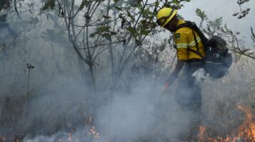 Controlled burns in Jocotepec hills aim to curb forest fire risk
