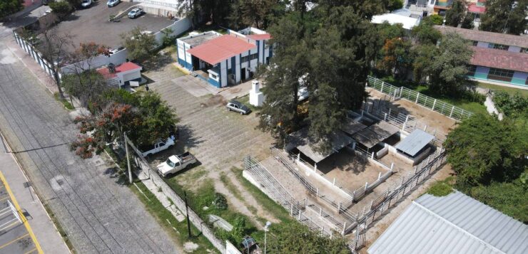 Chapala plans clinic, relocates slaughterhouse and police