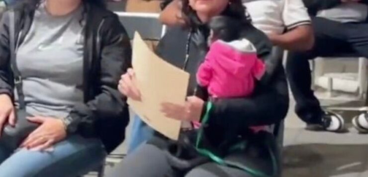 Video of councilwoman with spider monkey leads to criminal complaint