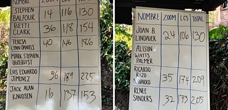 LCS AGM: anger, chaos and a new board…or not