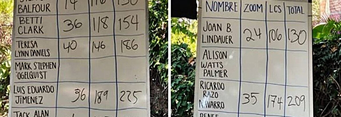  LCS AGM: anger, chaos and a new board…or not <br /> <span style='color:#797979;font-size:15px;font-family: Georgia, Cambria, 'Times New Roman', Times, serif;'>Board member Steve Balfour resigned</span>