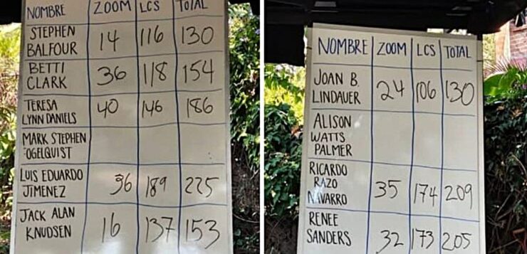 LCS AGM: anger, chaos and a new board…or not