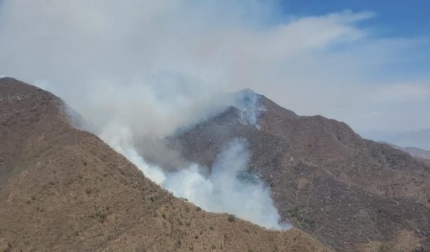 Jocotepec and Acatlán de Juárez secure borders against forest fires