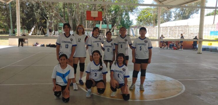 Chapala Condors debut in state volleyball