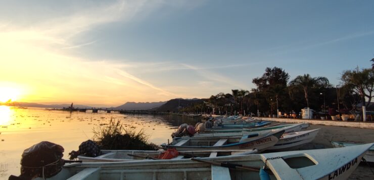 Lake Chapala nominated for global protection list