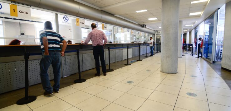 Tax offices open Saturday May 30 for free license plate replacement