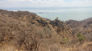 Legal protection and resources sought for Sierra Cóndiro-Canales forest