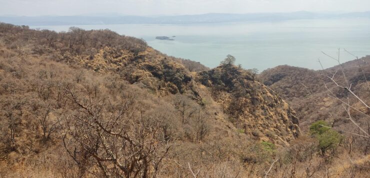 Legal protection and resources sought for Sierra Cóndiro-Canales forest