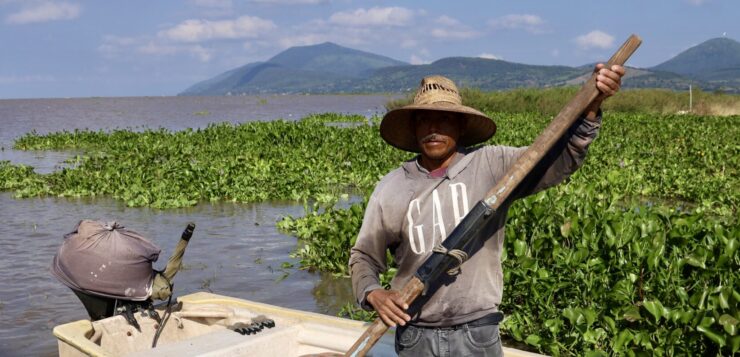 Free English webinar on sustainable aquaculture for healthy wetlands