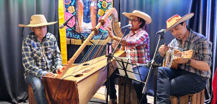 The 24th Harp and Psaltery Festival comes to Chapala