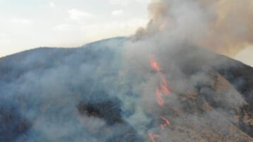 Dry season results in over 260 fires