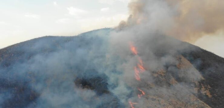 Dry season results in over 260 fires