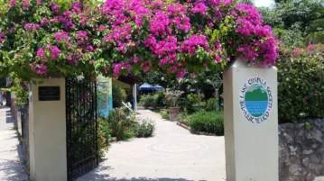 Lake Chapala Society looking for an Executive Director