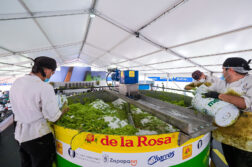 Jalisco sets Guinness World Record for the largest guacamole batch