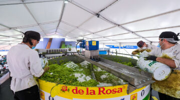 Jalisco sets Guinness World Record for the largest guacamole batch