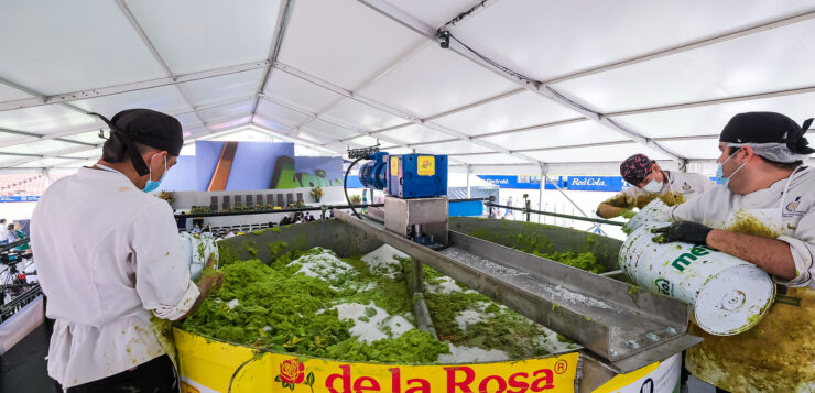 Jalisco sets Guinness World Record for the largest guacamole batch