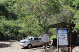Indigenous Community sets single Tepalo entry fee
