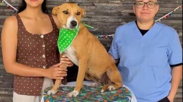 Chapala launches adoption campaign to home 26 dogs