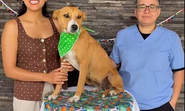 Chapala launches adoption campaign to home 26 dogs