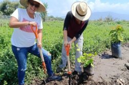 Vivero Siempre Verde kicks off community reforestation project