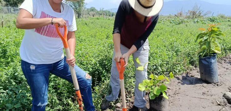 Vivero Siempre Verde kicks off community reforestation project